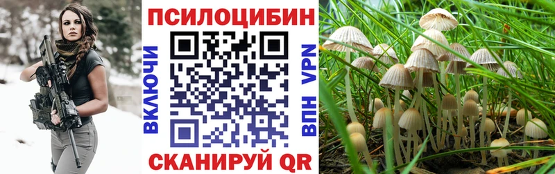 купить наркоту Артёмовский Псилоцибиновые грибы ЛСД